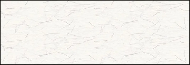 Fotoalbenkarton 300 g/qm - 10 Blatt
