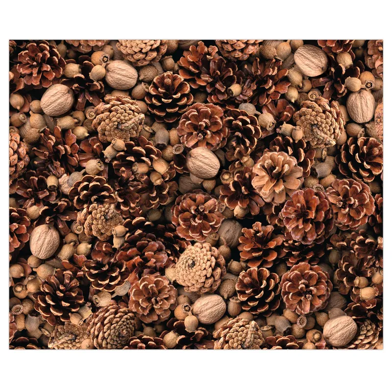 Motiv-Fotokarton 49,5 x 68 cm Nüsse/Tannenzapfen