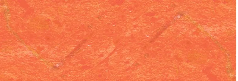 Bananenpapier 35 g/qm 21 x 31 cm - 5 Blatt