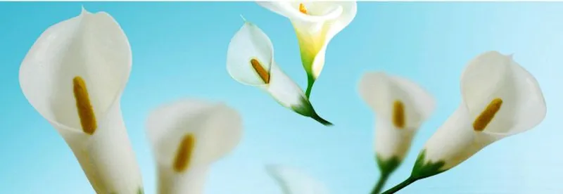 Fotokarton "Flora" DIN A4 - 25 Blatt