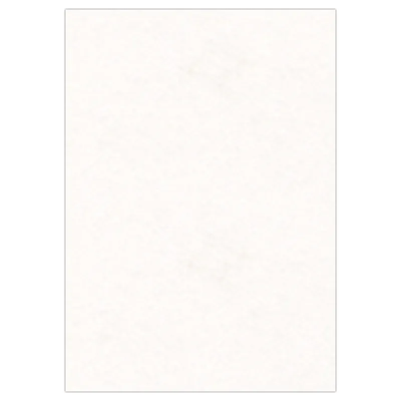 Elefantenhaut 110 g/qm DIN A4 - 50 Blatt
