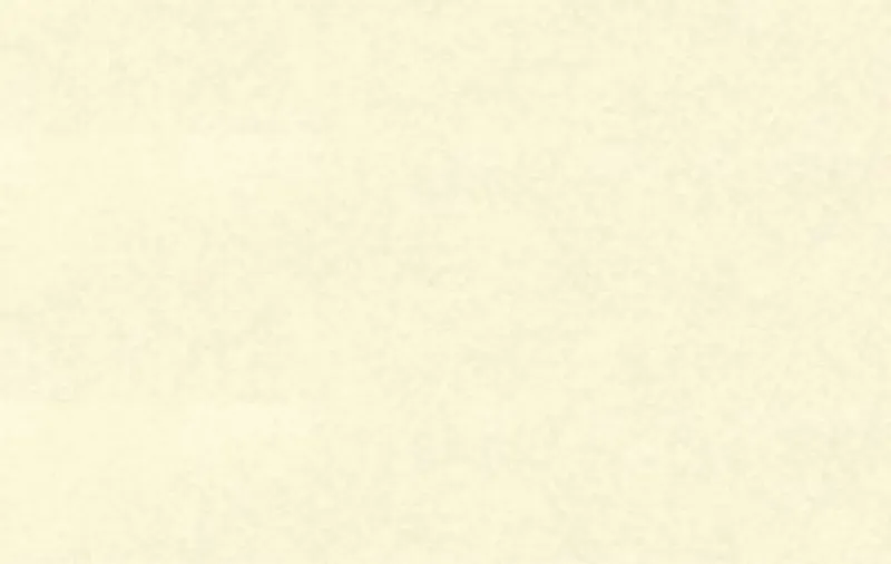 Digital "Elefantenhaut" 110 g/qm - 10 Blatt