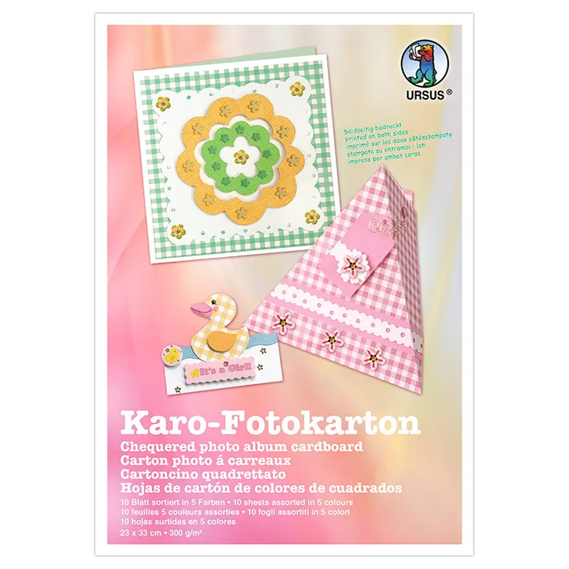 Karo-Fotokarton 23 x 33 cm - 10 Blatt sortiert
