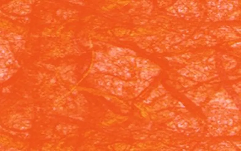 Digital "Strohseide" 25 g/qm - 10 Blatt