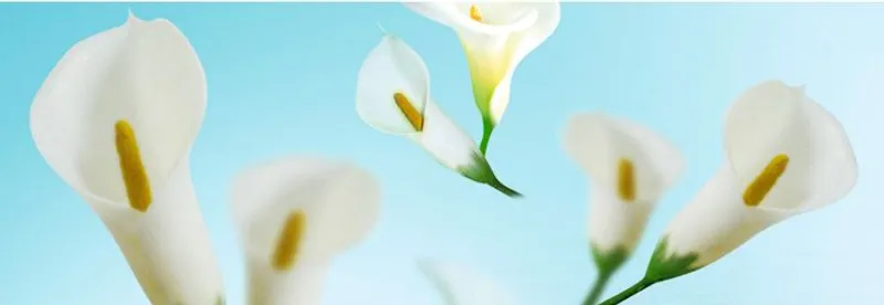 Fotokarton "Flora" DIN A4 - 5 Blatt