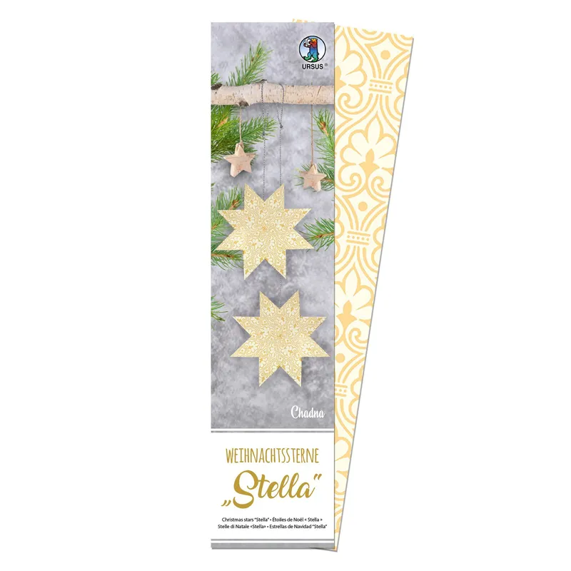Weihnachtsstern Stella Chadna, creme