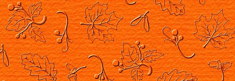 Elegance "Natur" 220 g/qm 23 x 32 cm - 5 Blatt