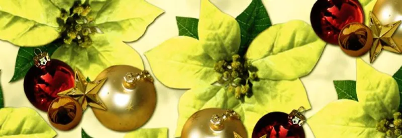 Transparentpapier "Weihnachtssterne" DIN A4 - 5 Blatt