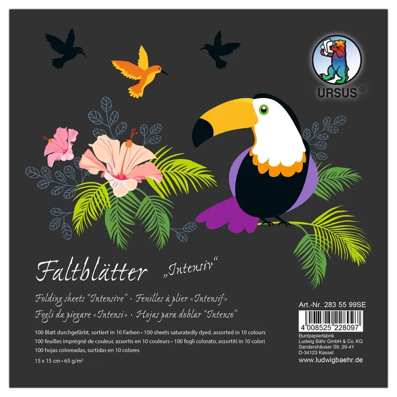 Faltblätter intensiv 65 g/qm 15 x 15 cm - 100 Blatt sortiert – Sonderedition