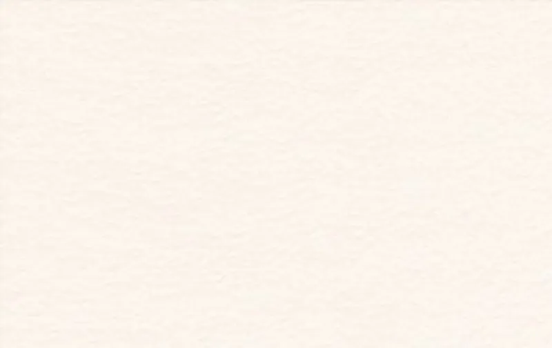 Tonzeichenpapier 130 g/qm - 25 Bogen
