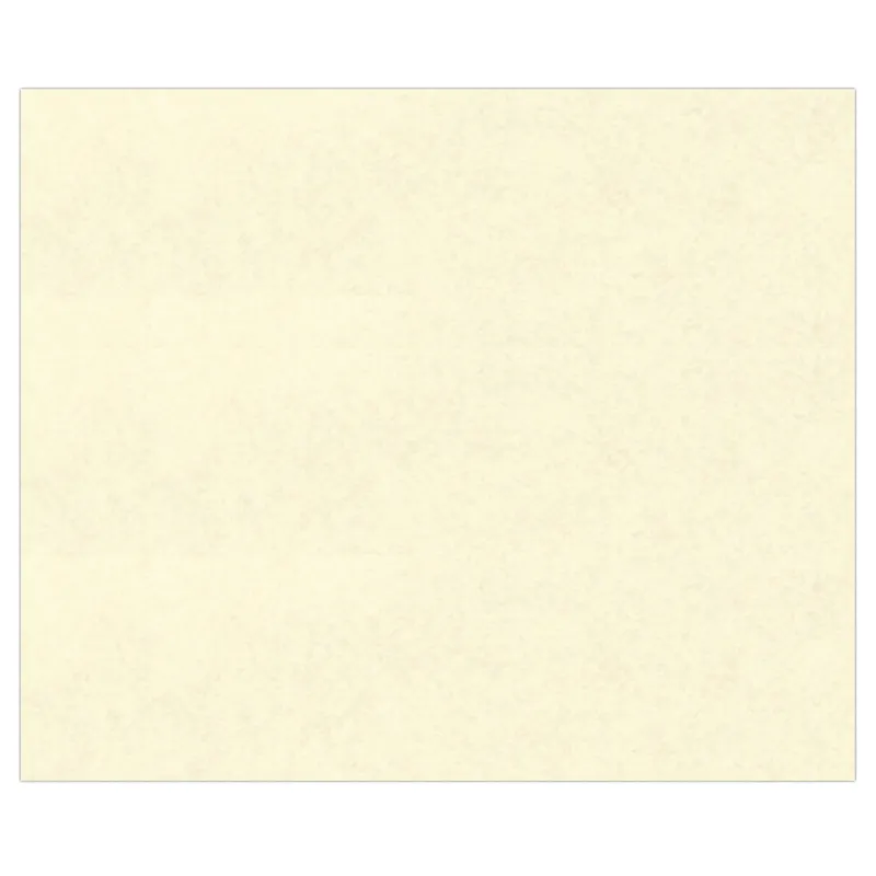 Elefantenhaut 110 g/qm 50 x 70 cm - 10 Bogen