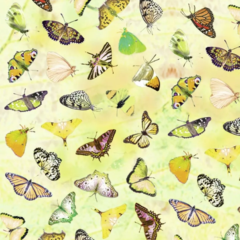Scrapbooking Papier "Transparentpapier" Schmetterlinge - 5 Blatt