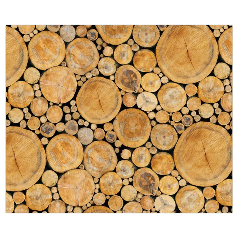 Motiv-Fotokarton 49,5 x 68 cm Baumscheiben
