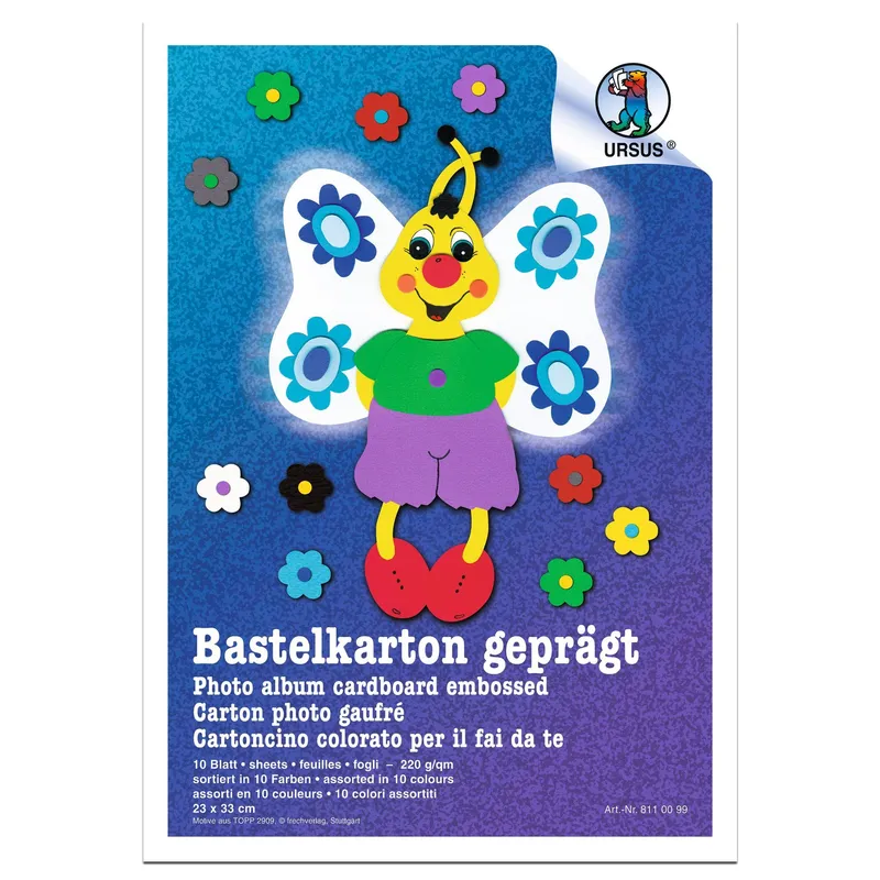 Bastelkarton 220 g/qm 23 x 33 cm - 10 Blatt sortiert