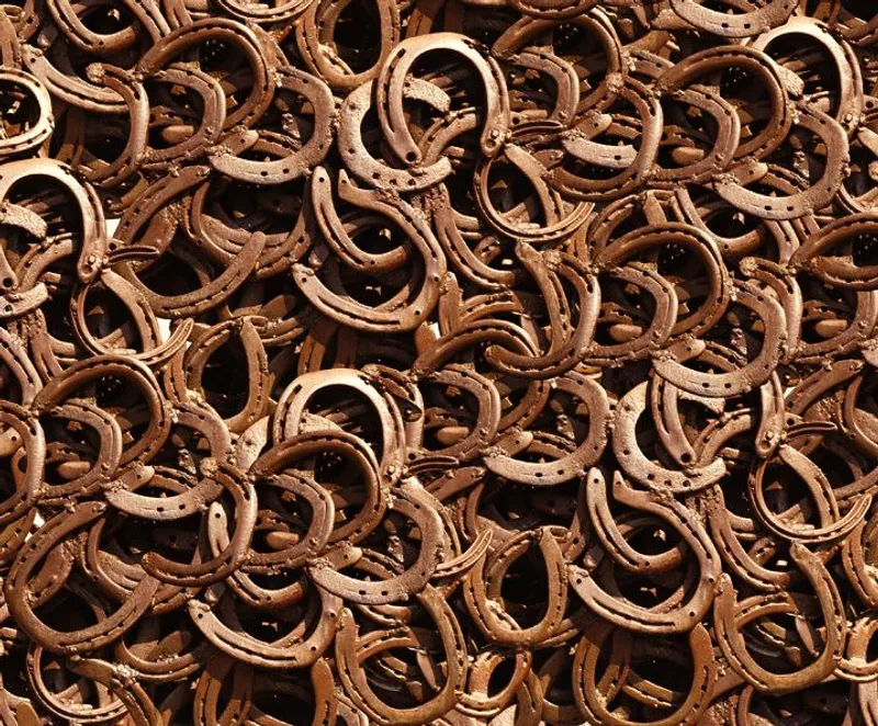 Motiv-Fotokarton 49,5 x 68 cm Hufeisen
