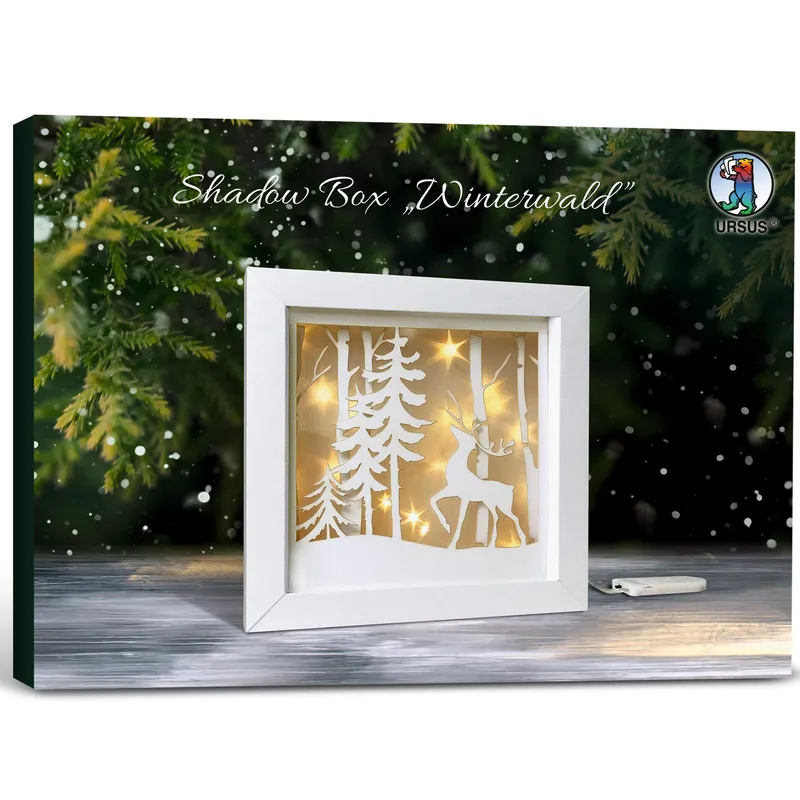 Shadow Box Winterland