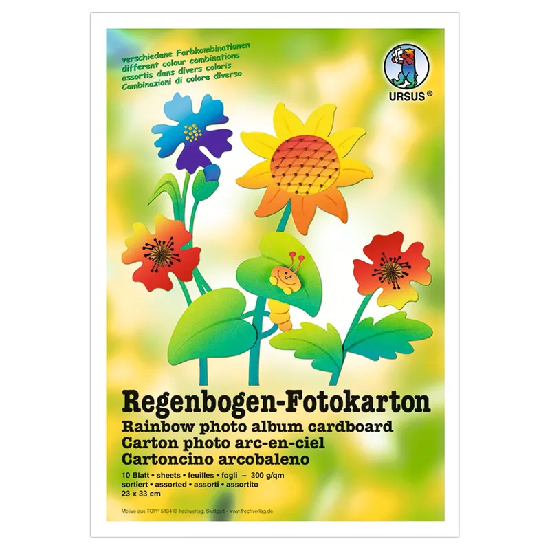 Regenbogen-Fotokarton 23 x 33 cm - 10 Blatt sortiert