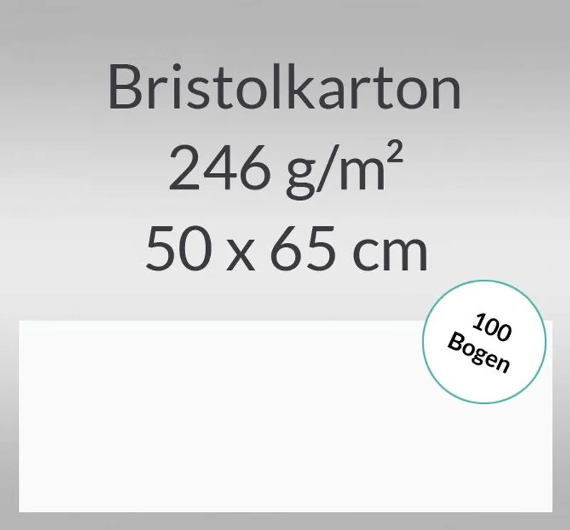 Bristolkarton - 100 Bogen