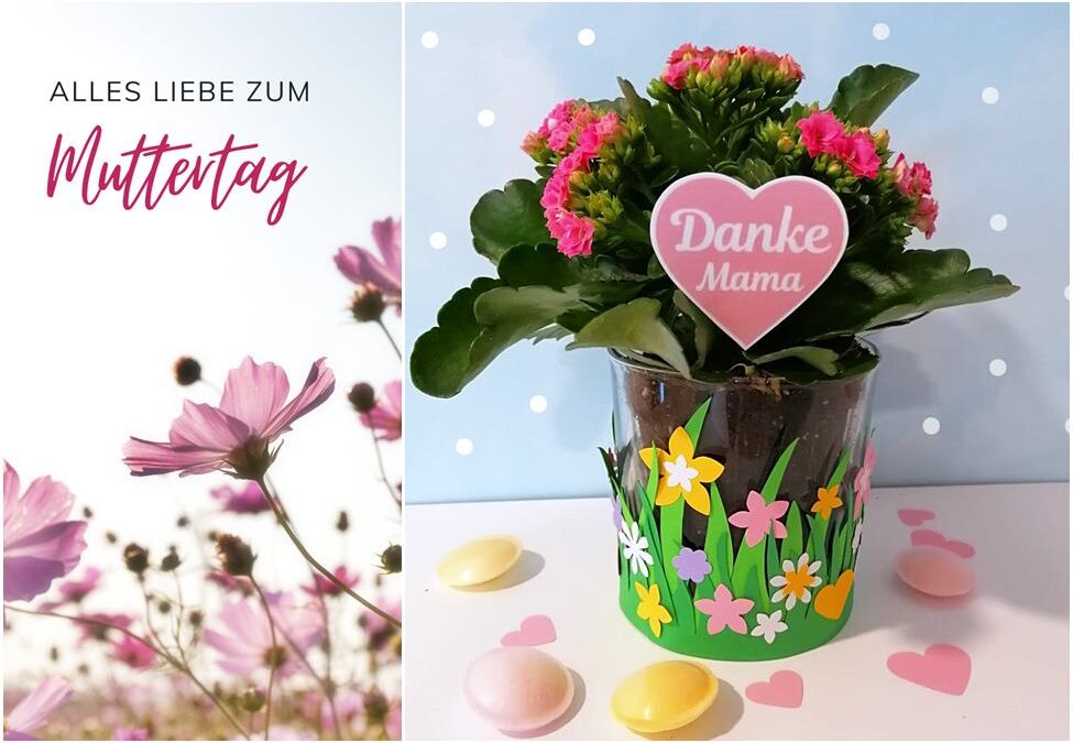 Blumen zum Muttertag