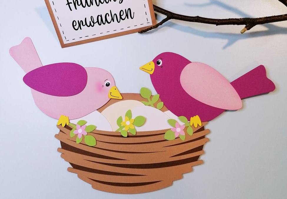 Vogelnest zur Frühlingszeit