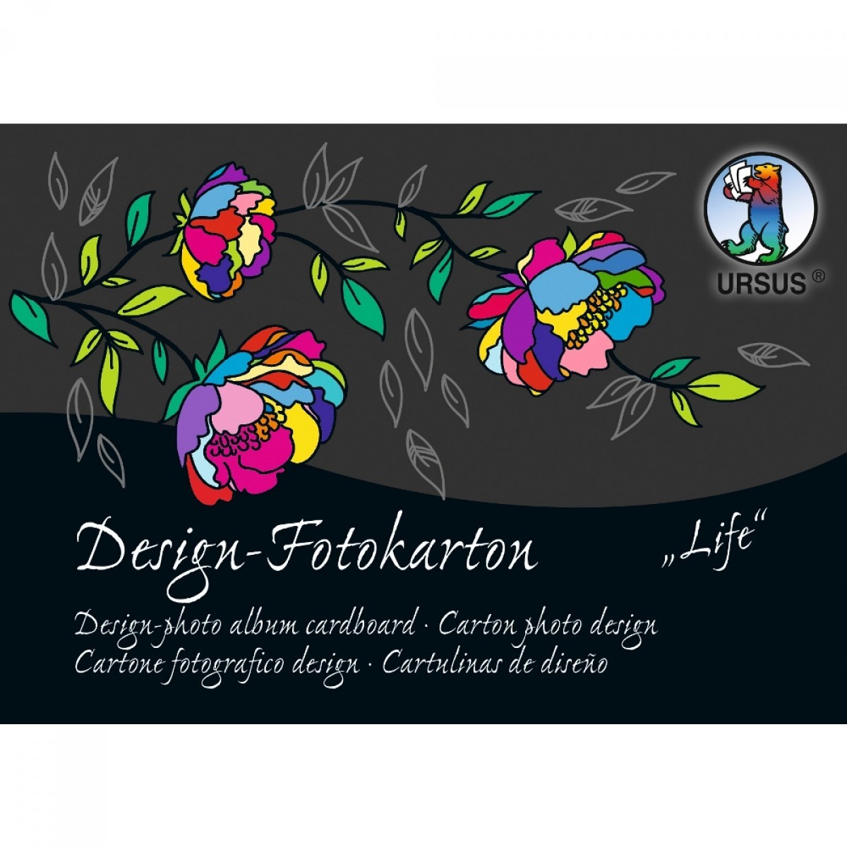 Design-Fotokarton-Block "Sonderedition Life" DIN A6 - 60 Blatt sortiert