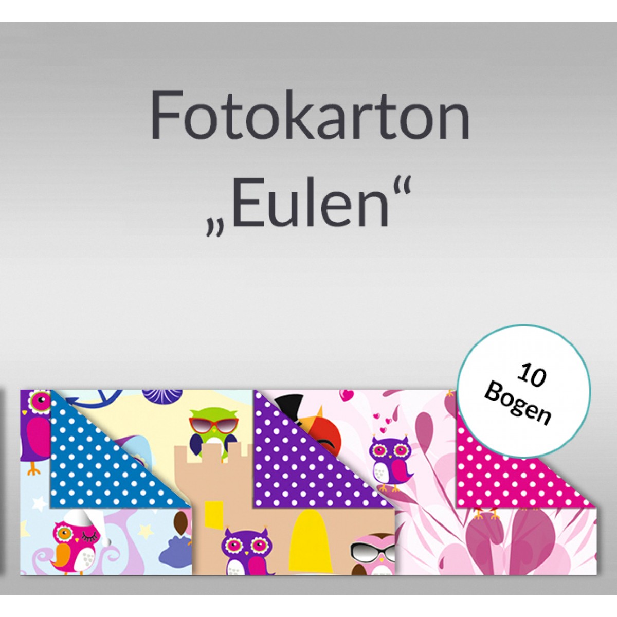 Fotokarton "Eulen" 49,5 x 68 cm - 10 Bogen sortiert