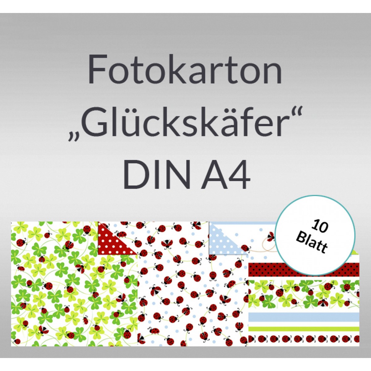 Fotokarton "Glückskäfer" DIN A4 - 10 Blatt
