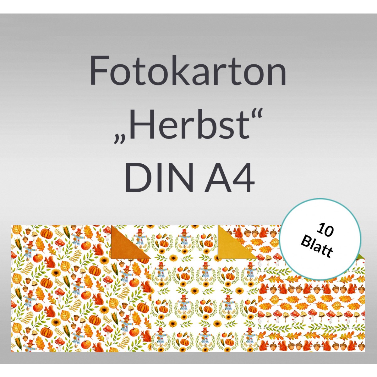 Fotokarton "Herbst" DIN A4 - 10 Blatt
