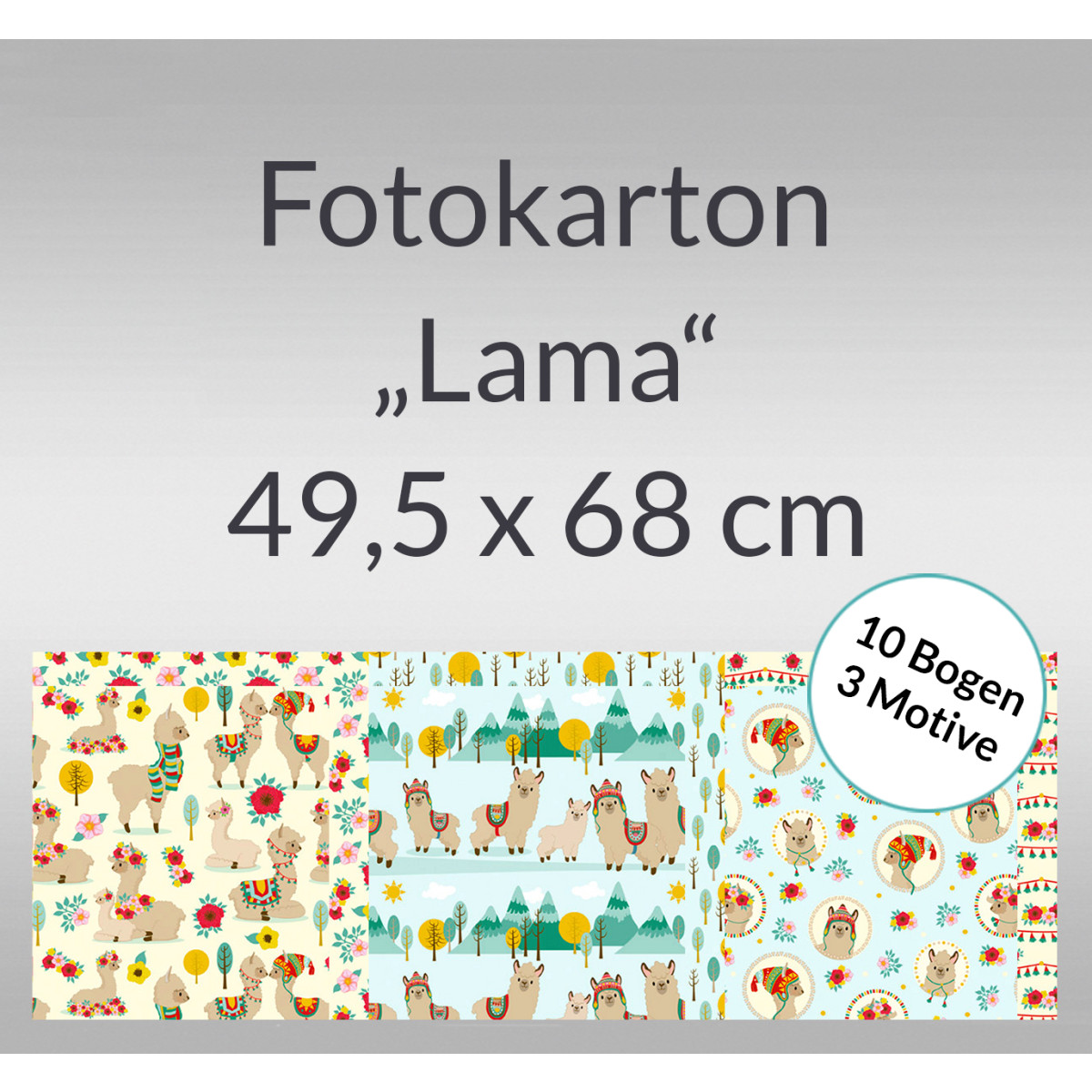 Fotokarton "Lama" 49,5 x 68 cm Motiv 03 - 10 Bogen sortiert