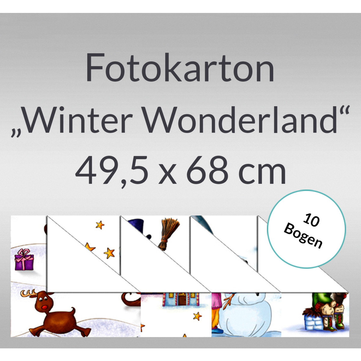 Fotokarton "Winter Wonderland" 49,5 x 68 cm - 10 Bogen