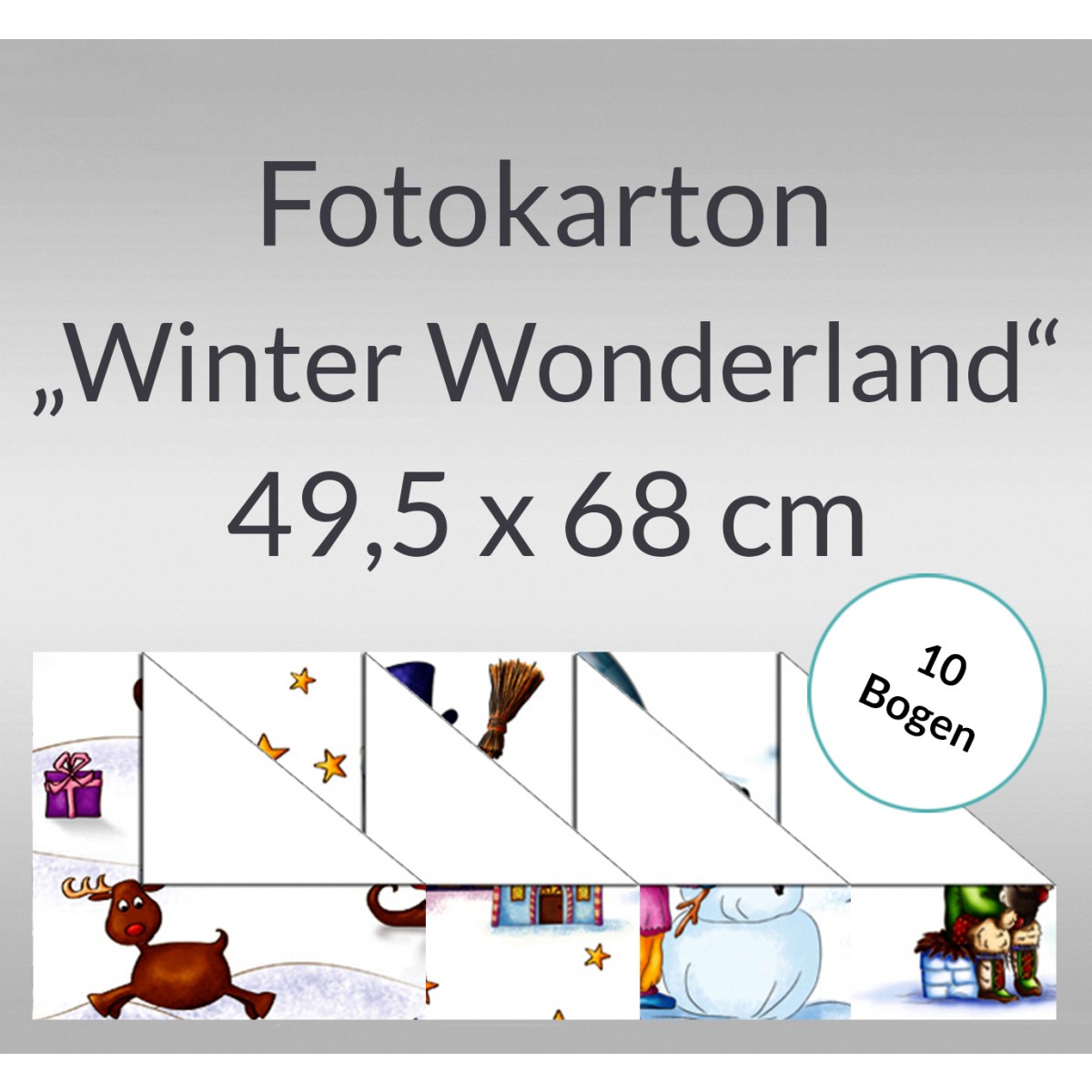 Fotokarton "Winter Wonderland" 49,5 x 68 cm - 10 Bogen