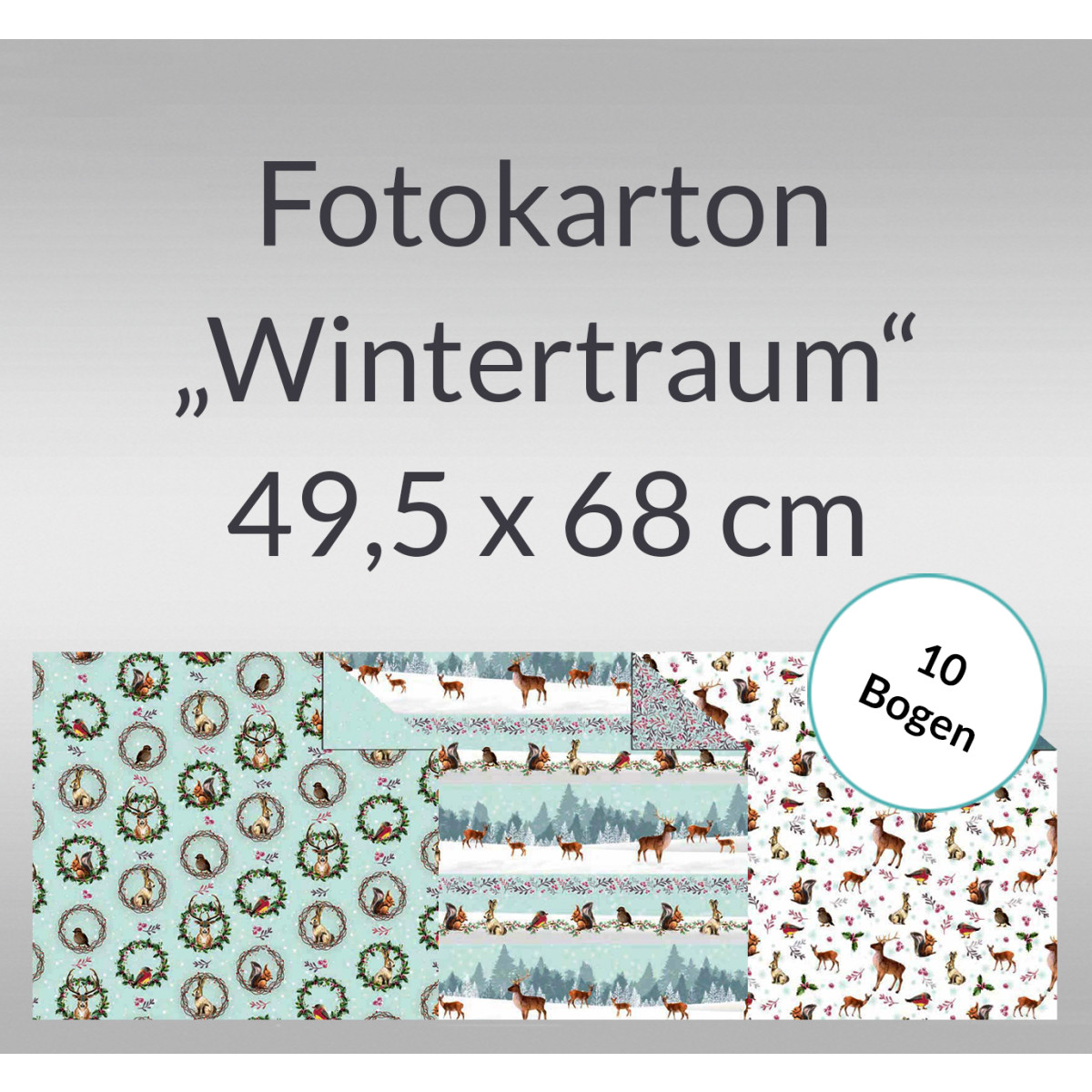 Fotokarton "Wintertraum" 49,5 x 68 cm - 10 Blatt