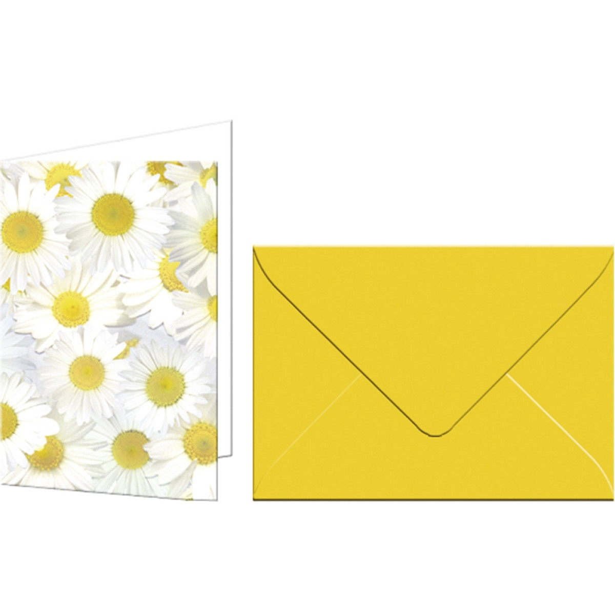 Grußkarten "Flora" mit Kuverts Margeriten