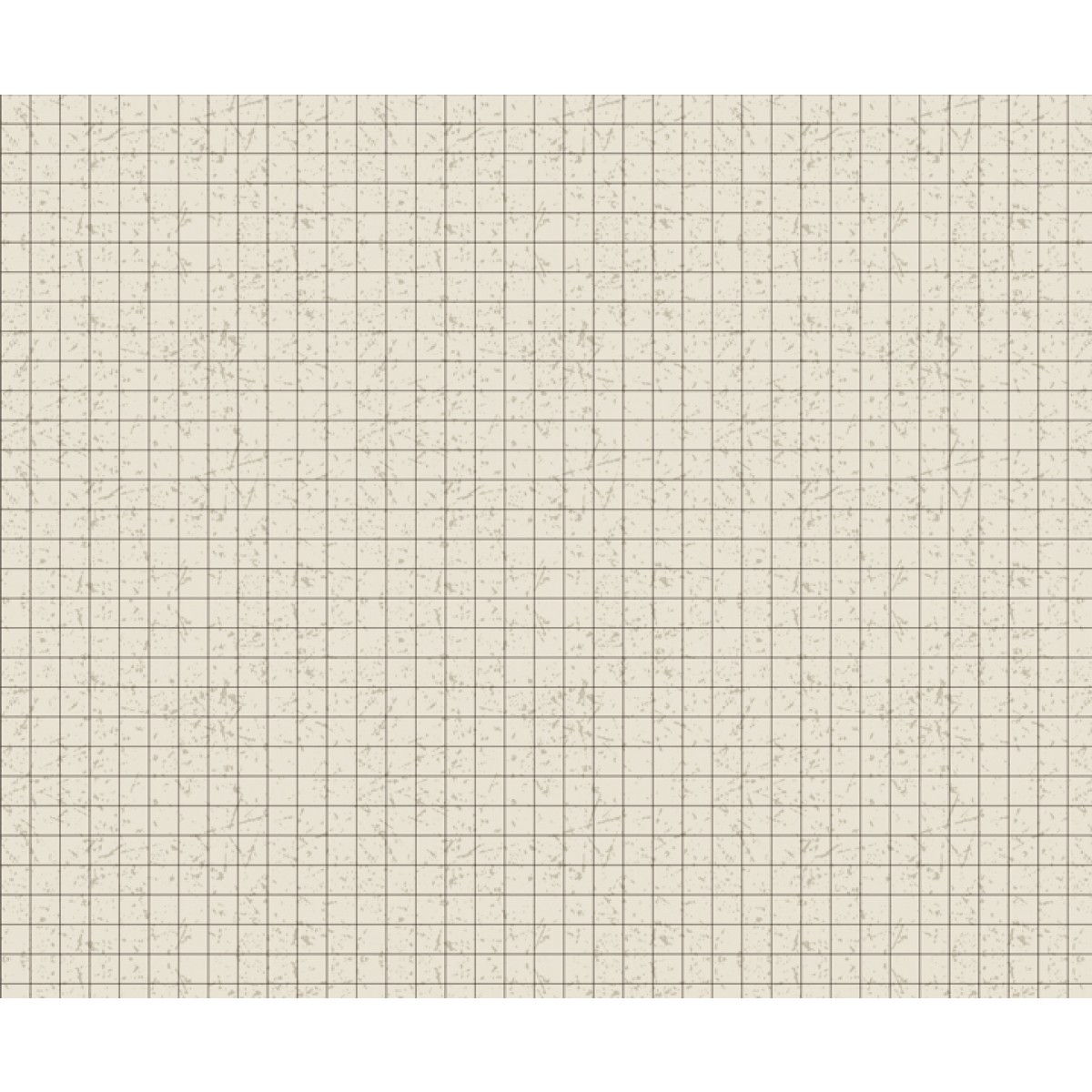 Motiv-Fotokarton 49,5 x 68 cm Raster