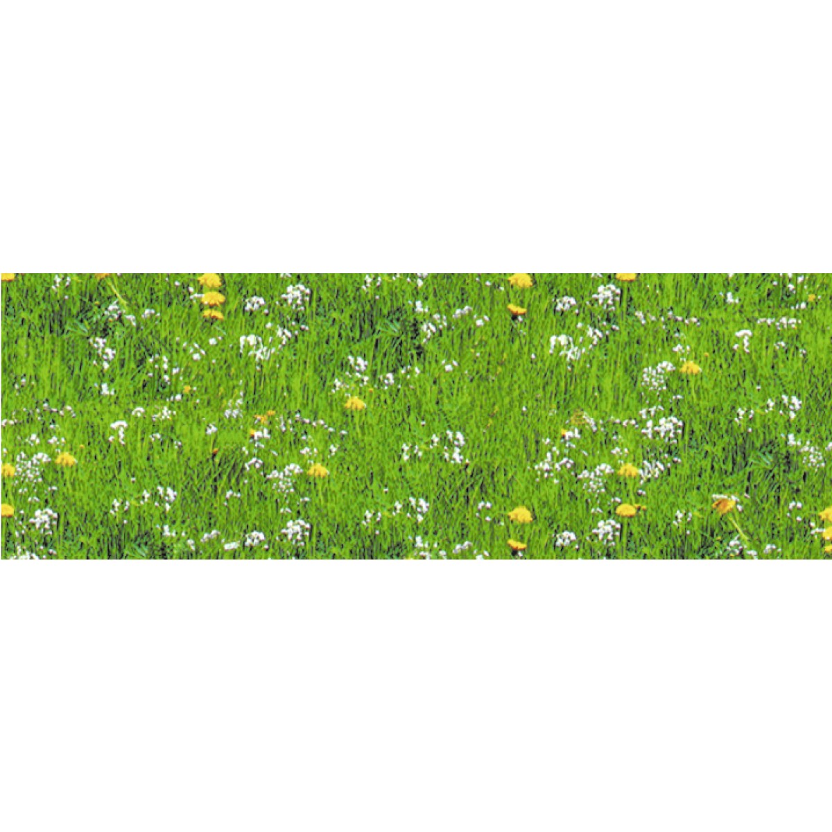 Motiv-Fotokarton 49,5 x 68 cm Wiese