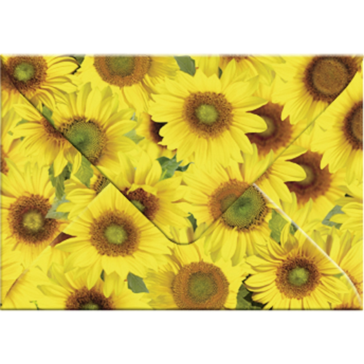 Transparentpapier-Kuverts "Flora" 115 g/qm Sonnenblumen - 5 Stück