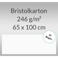 Bristolkarton 246 g/qm 65 x 100 cm