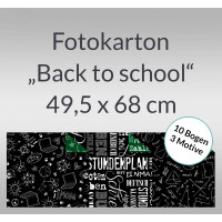 Fotokarton "Back to school" 49,5 x 68 cm - 10 Bogen sortiert