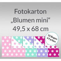 Fotokarton "Blumen mini" 49,5 x 68 cm - 10 Bogen sortiert