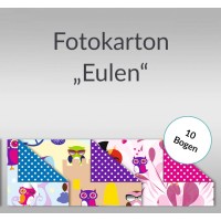 Fotokarton "Eulen" 49,5 x 68 cm - 10 Bogen sortiert