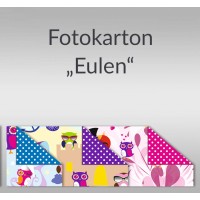 Fotokarton "Eulen" 49,5 x 68 cm - 10 Bogen