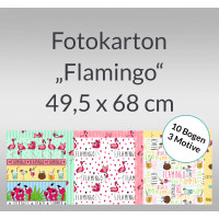 Fotokarton "Flamingo" 49,5 x 68 cm - 10 Bogen sortiert