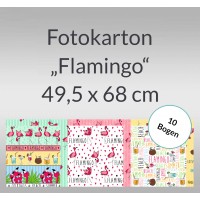 Fotokarton "Flamingo" 49,5 x 68 cm - 10 Bogen