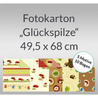 Fotokarton "Glückspilze" 49,5 x 68 cm - 10 Bogen sortiert