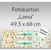 Fotokarton "Lama" 49,5 x 68 cm Motiv 03 - 10 Bogen sortiert