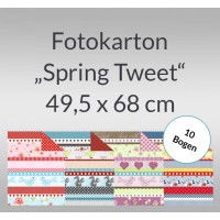 Fotokarton "Spring Tweet" 49,5 x 68 cm - 10 Bogen