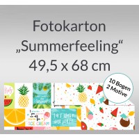 Fotokarton "Summerfeeling" 49,5 x 68 cm - 10 Bogen sortiert