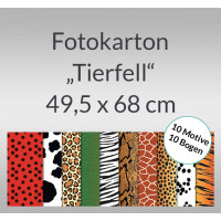 Fotokarton "Tierfell" 49,5 x 68 cm - 10 Bogen sortiert