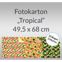 Fotokarton "Tropical" 49,5 x 68 cm - 10 Bogen sortiert