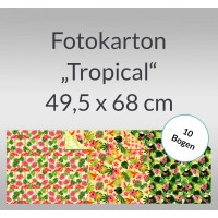 Fotokarton "Tropical" 49,5 x 68 cm - 10 Bogen